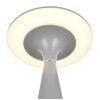 Reality TORREZ Table lamp LED grey, 1-light source