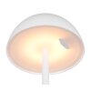 Reality RICARDO Table lamp LED white, 1-light source