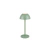 Reality RICARDO Table lamp LED green, 1-light source
