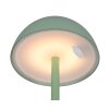Reality RICARDO Table lamp LED green, 1-light source