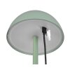 Reality RICARDO Table lamp LED green, 1-light source