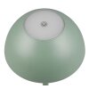 Reality RICARDO Table lamp LED green, 1-light source