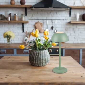 Reality RICARDO Table lamp LED green, 1-light source