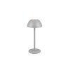 Reality RICARDO Table lamp LED grey, 1-light source