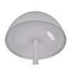 Reality RICARDO Table lamp LED grey, 1-light source