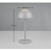 Reality RICARDO Table lamp LED grey, 1-light source