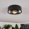 Grayan Ceiling Light LED black, 1-light source
