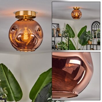 Ripoll ceiling light gold, black, 1-light source