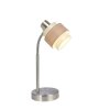 Table Lamp Globo ASHGAAN matt nickel, 1-light source