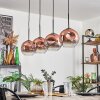 Ripoll pendant light clear, coppery, 4-light sources