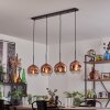 Ripoll pendant light clear, coppery, 4-light sources