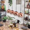 Ripoll pendant light clear, coppery, 4-light sources