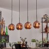 Ripoll pendant light coppery, 4-light sources