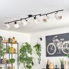 Bassagoda ceiling light black, 6-light sources