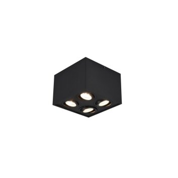 Ceiling Light Trio Leuchten BISCUIT black, 4-light sources