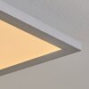COLMINY Ceiling Light LED silver, 1-light source