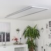 COLMINY Ceiling Light LED silver, 1-light source
