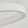 Areja Pendant Light LED white, 1-light source