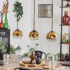 Ripoll pendant light gold, clear, 3-light sources