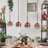 Ripoll pendant light clear, coppery, 4-light sources