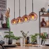 Ripoll pendant light clear, coppery, 4-light sources