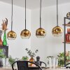 Ripoll pendant light gold, clear, 4-light sources