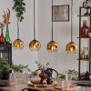 Ripoll pendant light gold, clear, 4-light sources