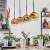 Ripoll pendant light gold, clear, 4-light sources