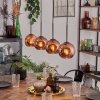 Ripoll pendant light coppery, 4-light sources