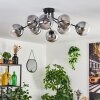 Gastor ceiling light 87 cm clear, Smoke-coloured, 8-light sources