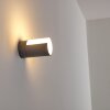 Baulund Outdoor Wall Light LED anthracite, 1-light source