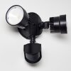 EMMERLEV Outdoor Wall Light LED black, 2-light sources, Motion sensor