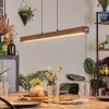 Carbellino pendant light dark brown, black, 1-light source