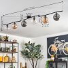 Gastor ceiling light, globe light Amber, clear, Smoke-coloured, 6-light sources