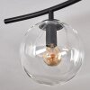 Gastor ceiling light, globe light Amber, clear, Smoke-coloured, 6-light sources