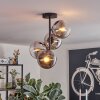 Gastor ceiling light, globe light chrome, clear, Smoke-coloured, 4-light sources