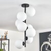 Gastor ceiling light, globe light transparent, 8-light sources