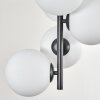 Gastor ceiling light, globe light transparent, 8-light sources