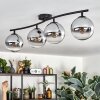 Gastor ceiling light, globe light chrome, clear, Smoke-coloured, 4-light sources