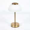 Rands table lamp LED brass, 1-light source