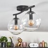 Gastor ceiling light, globe light clear, 2-light sources