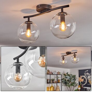 Gastor ceiling light, globe light clear, 2-light sources