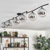 Gastor ceiling light, globe light chrome, clear, Smoke-coloured, 6-light sources