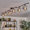 Gastor ceiling light, globe light chrome, clear, Smoke-coloured, 6-light sources