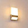 Outdoor Wall Light Clear LED matt nickel, 1-light source