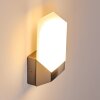 Outdoor Wall Light Clear LED matt nickel, 1-light source