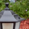 Loria pedestal light black, 1-light source