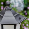 Loria path light black, 1-light source
