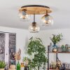 Koyoto ceiling light, globe light Ecru, black, 3-light sources