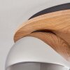 Koyoto ceiling light, globe light Ecru, black, 3-light sources